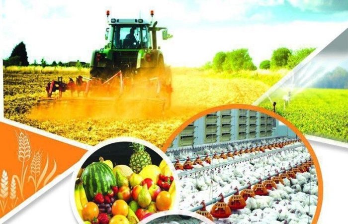 ضرورت برخورد قاطع با اخلالگران امنیت غذایی