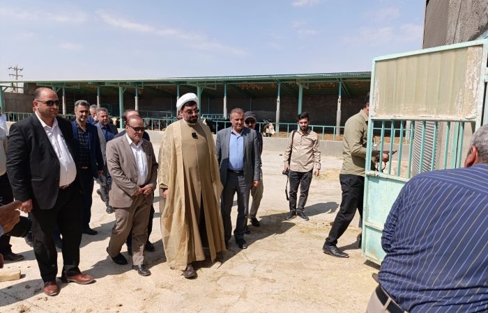 آزادیخواه خواستار رفع موانع بهرهبرداری از دامداری پرواری روستای دهنو آورزمان شد